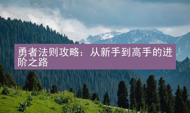 勇者法则攻略：从新手到高手的进阶之路